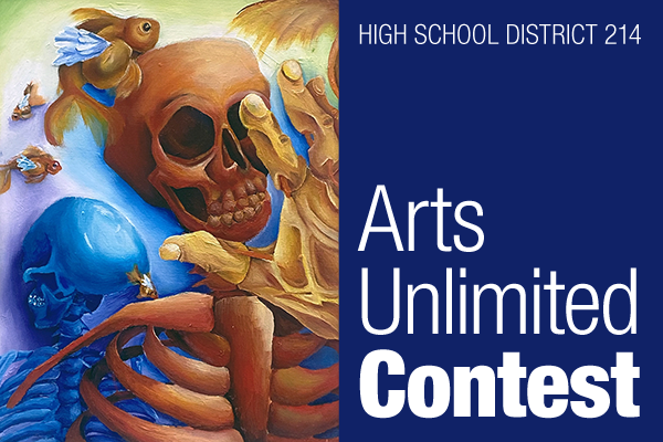 High School District 214 / Homepage